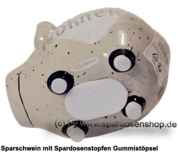 KCG Kleinsparschwein 3D Schöner Wohnen E